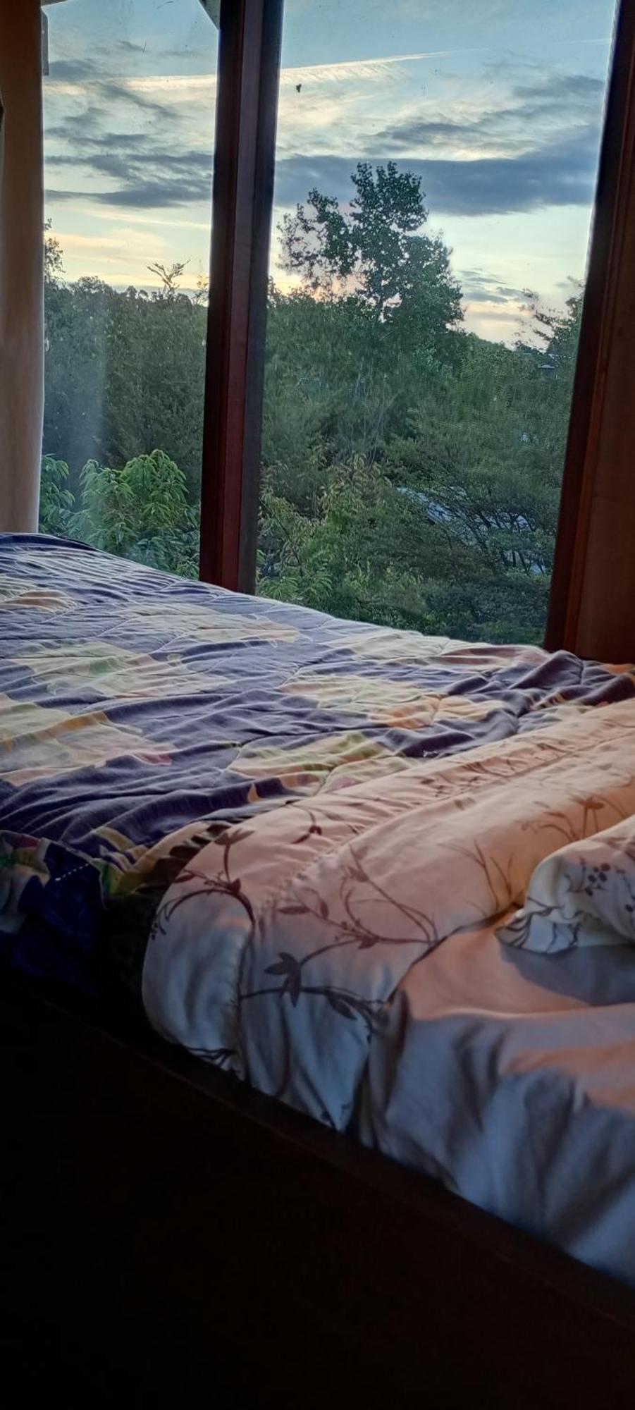 פוקון Hostal Quillelhue מראה חיצוני תמונה